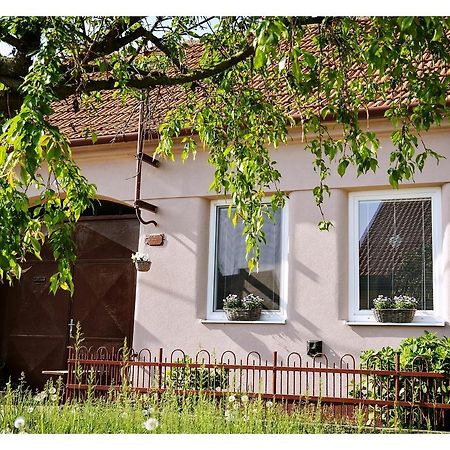 Ubytovani U Trati Hotel Moravska Nova Ves Exterior photo